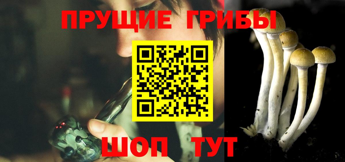 купить закладку  Вход с VPN  Кохма  Галлюциногенные грибы прущие грибы 